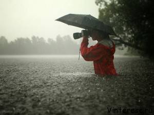 Как стать хорошим фотографом